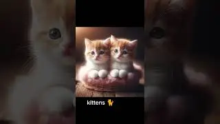 kittens (AI Art) #aiimages #viralshort #ai #bingimagecreator #kitten