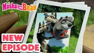 Masha and the Bear 2024 🎬 NEW EPISODE! 🎬 Best cartoon collection 🐺 Cardboard savers ✂️📦