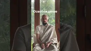 Освобождение - Очищение ума от кармы  -  Мастер Пранава  #любовь  #shortvideo