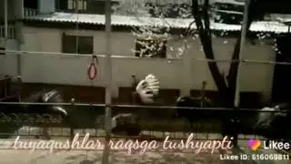 Юлдуз Усмонованинг кушигига Туякушлар у́йнашини ку́ринг