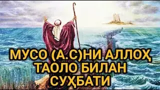 Muso a.sni Alloh taolo bilan suhbati || Мусо а.сни Аллоҳ таоло билан суҳбати