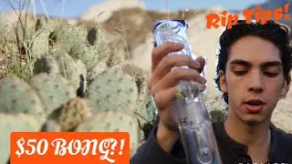 How GOOD is this $50 BONG!?