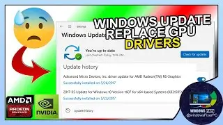 Windows Update Renamed Your GPU? Dont Panic! Fix It Yourself