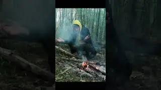 О сне в гамаке