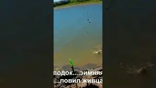 Отводной поводок...зимняя мормышка с опарышем на течении..ловил живца,а поймал...