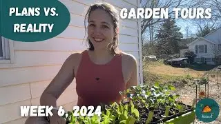 What I planned vs. what I actually did | Garden Tour WEEK 6, 2024