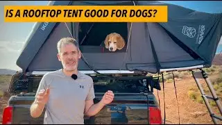 🏕️ Cute beagle goes camping in a rooftop tent (2024 edition)