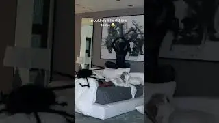 World’s largest spider prank on my husband for his reaction😂 