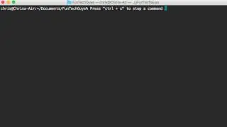 Linux Basics: Stop a command whilst it's running