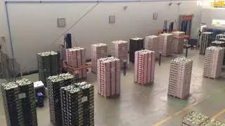 Reisopack: мод 2915 на 8 рабочих постов, мультистанция горизонтальной обвязки паллет