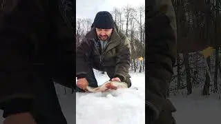 Первый раз так делаю !#рыбалка2024 #щуканажерлицы #щука   #icefishing #pike  поймал - отпусти.