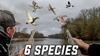 BOAT IN PUBLIC LAND DUCK HUNT (Crazy Mixed Bag)