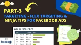 Lesson 29 Flex Targeting & Ninja Tips For Facebook Ads 2021