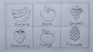 Different types of fruits drawing easy| Fruits Chart drawing| 6 Different types Fruits drawing easy