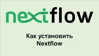 NF4. Установка Nextflow