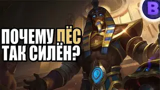 РАКО - ГАЙД РОДЖЕР MOBILE LEGENDS / МОБАЙЛ ЛЕГЕНДС