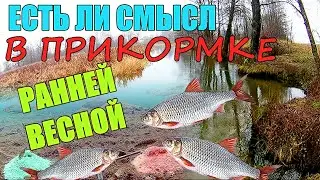 КТО СЪЕЛ ВСЮ ПРИКОРМКУ!!!  Подводная съёмка.