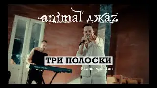 Animal ДжаZ — Три полоски (Piano version, Live, 2024)