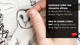 How to create a barn owl using watercolours and Pigma Micron pens