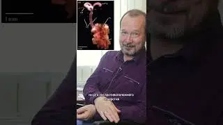 Черви-зомби