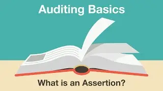 Auditing Basics: What is an Assertion?