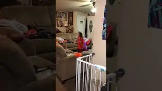 Daughter caught on video singing The Search by NF