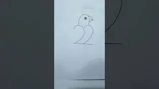 Easy parrot Drawing