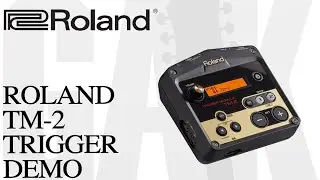 Roland TM-2 Trigger Module Roland TM-2 Demo Review