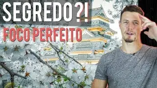 FOCO CRISTALINO EM TODAS ÁREAS DA FOTO?