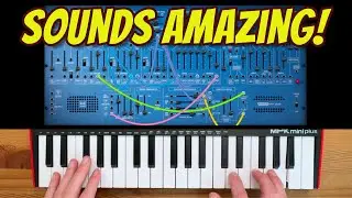 🏆🍭 - New TimewARP 2600 - sounds AMAZING!  (Arp 2600 virtual synth)