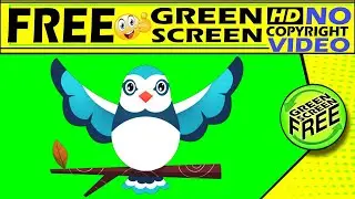 bird green screen,birds green screen,green screen,green screen bird,birds flying green screen,green