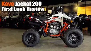 KAYO JACKAL 200 First Look Review