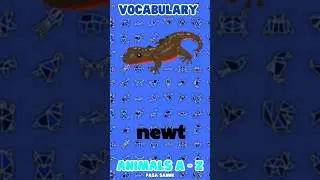 #Pasa_sanuk_Vocabulary Animals A-Z P2 #vocabulary #ielts #englishdaily #English #英 #انجليزي #ingles