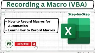 Excel VBA : How to Build & Use Excel Macros | A Guide to Recording Your First Macro 