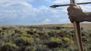 Making a Primitive Yew Bow for primitive archery hunting using stone tools. Otzi the Iceman bow.