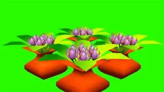 Green Screen Flowers Video Effects | Green Screen Motion Background Video 270