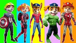 Paw Patrol Ultimate Rescue | Chase Marshall Skye vs Spider-Man Nice or Error 5 Times Challenge