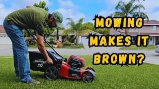 Lawn Look Brown After Mowing? Try This...