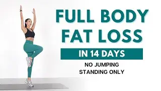 FULL BODY FAT LOSS in 14 Days - 40 min Standing Workout | No Jumping, Beginner Friendly