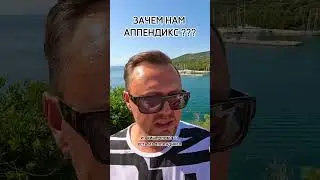 ЗАЧЕМ НАМ АППЕНДИКС? Рыбалко Юрий. #shorts #здоровье