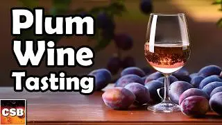 Plum Wine One Year Later - New Scoring!