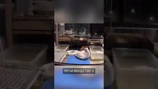 Ужасное ЧП произошло с уточкой!  