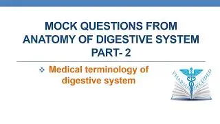Mock questions from anatomy of digestive system   Part 2