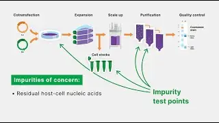Did You Know that Bio-Rad Solutions Aid in Development of Therapeutic Antibodies?
