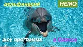 ДЕЛЬФІНАРІЙ НЕМО В ОДЕСІ🐬  ШОУ ПРОГРАМА З ДЕЛЬФІНАМИ!!