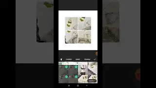 Как добавить свой фон в коллаж в InShot