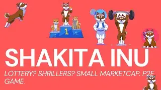 Shakita Inu - Meme Coin. Small Marketcap. No Auto Reflection. Lotto?