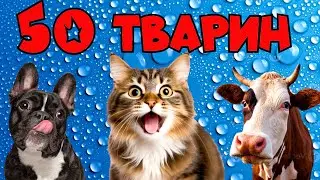 Звуки та голоси тварин для дітей українською мовою. Навчальне відео з голосами тварин