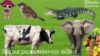 Збірник ☀️Розвиваючі мультики для дітей українською ☀️ Цікаві загадки для дітей на логіку☀️