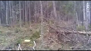 юмз-6 в лесу